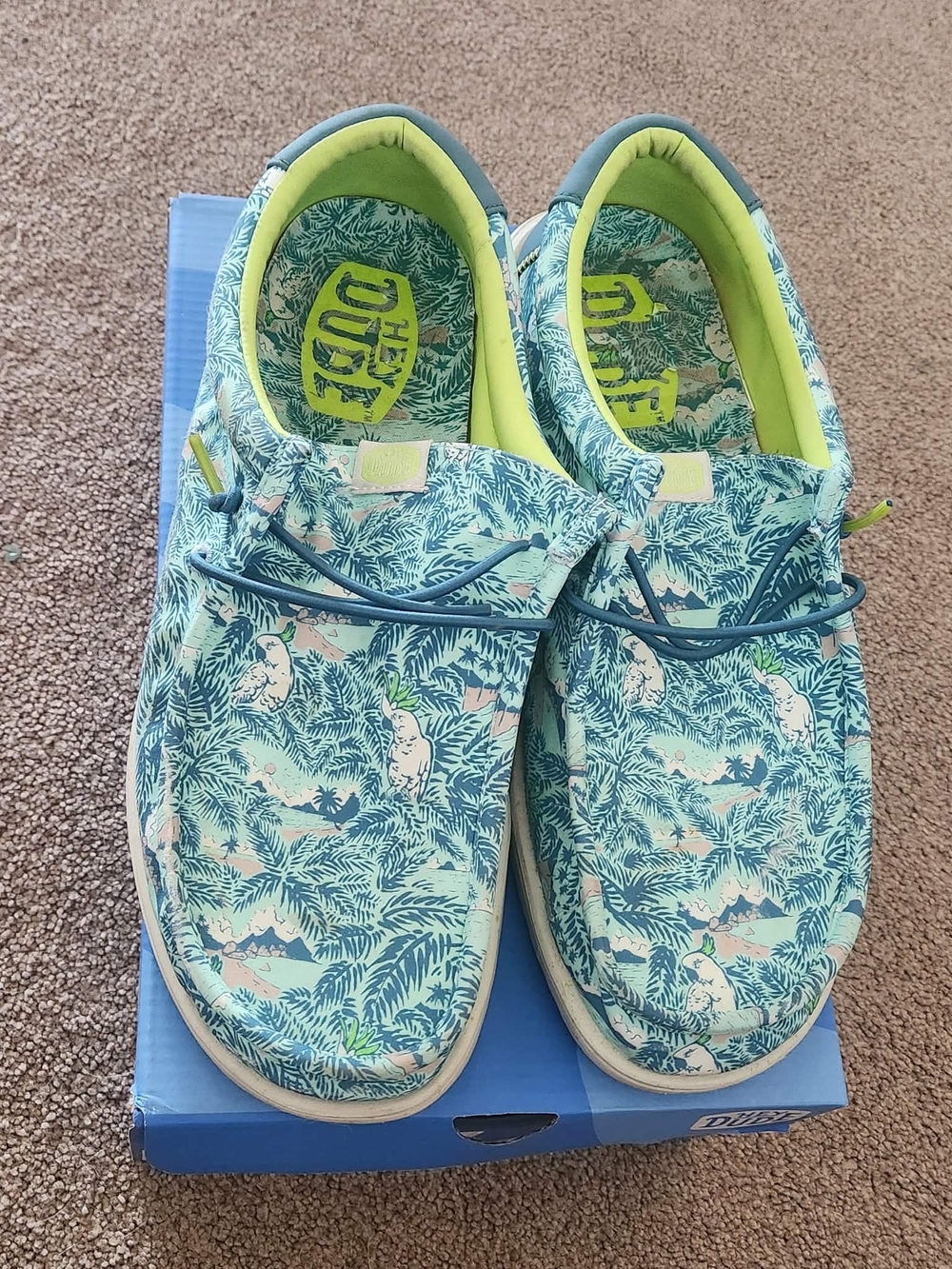 Hey Dude Men's Tropical Teal and Lime Slip-Ons